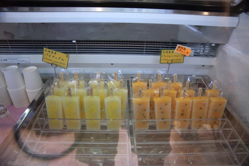 石垣06.JPG