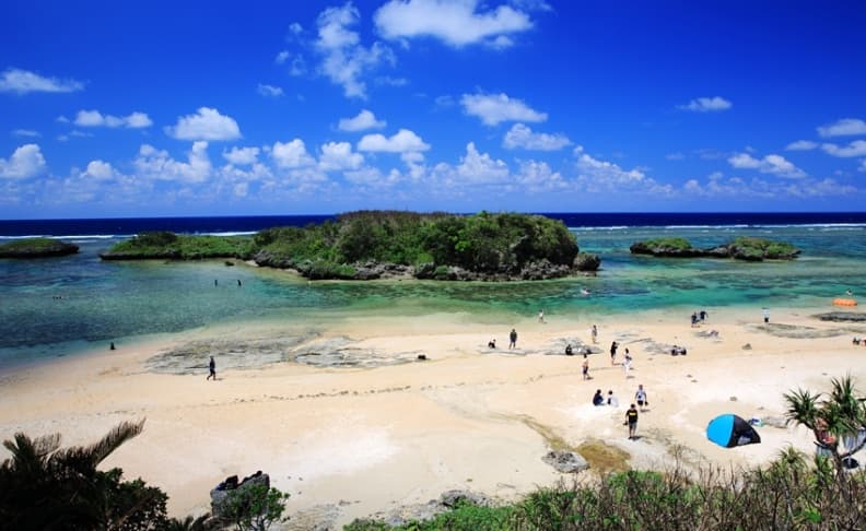 西表島06.JPG