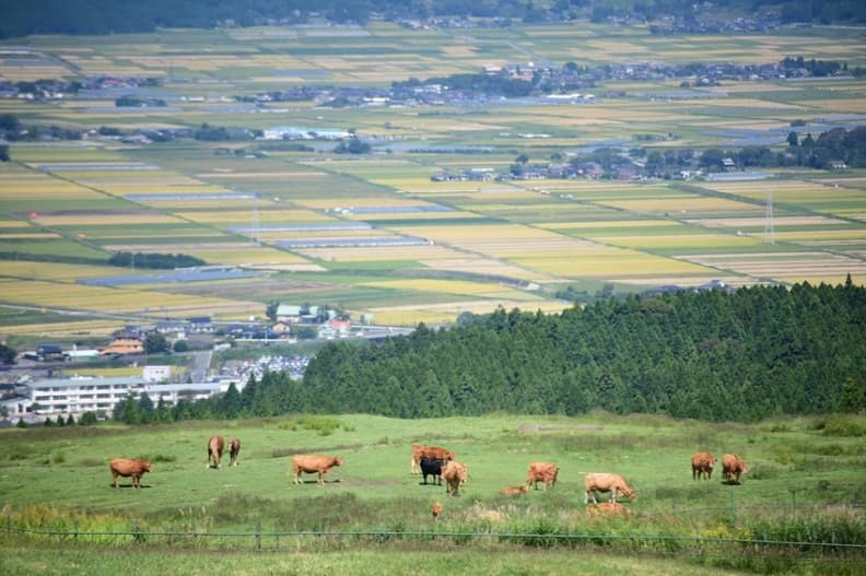 跳上九州橫斷特急，來趟鐵路山海輕旅！