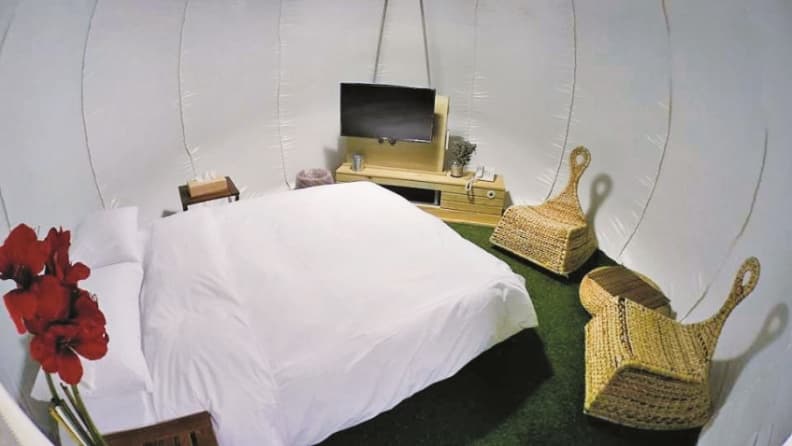 八里泡泡屋 (1).jpg