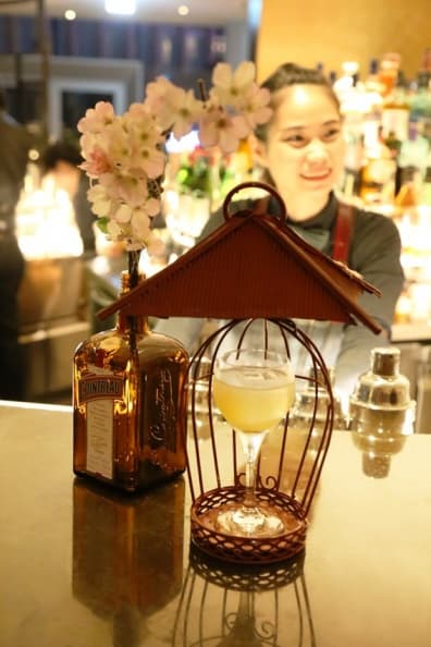 幸運符 Lucky Charm.jpg