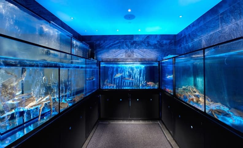 文華精品但馬家涮涮鍋二館-水族箱設計時尚，為整體空間一大亮點.jpg