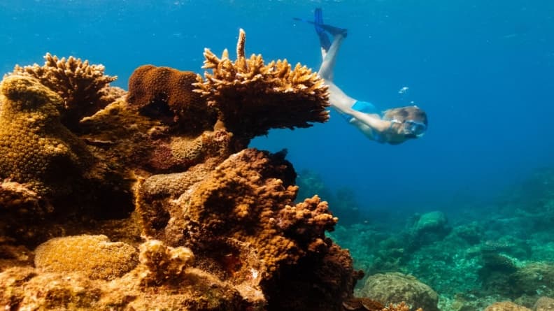 SSCD_Diving in Con Dao.jpg