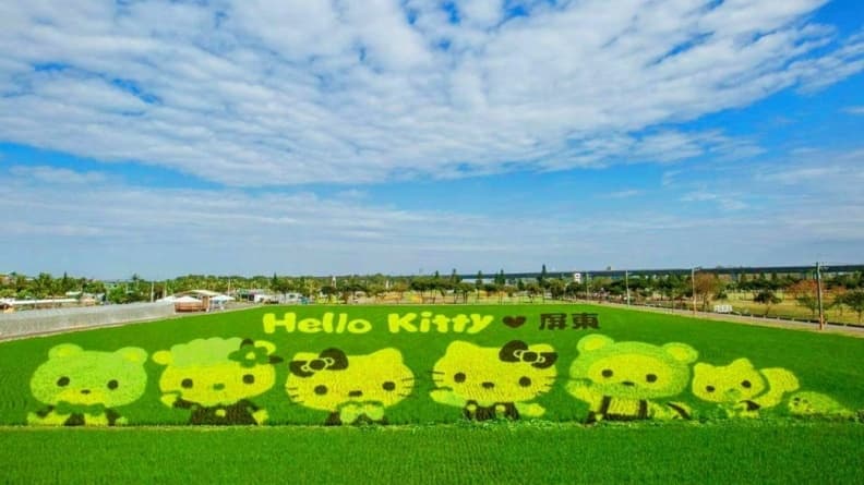 最萌新景點!期間限定Hello Kitty彩繪稻田快搶拍