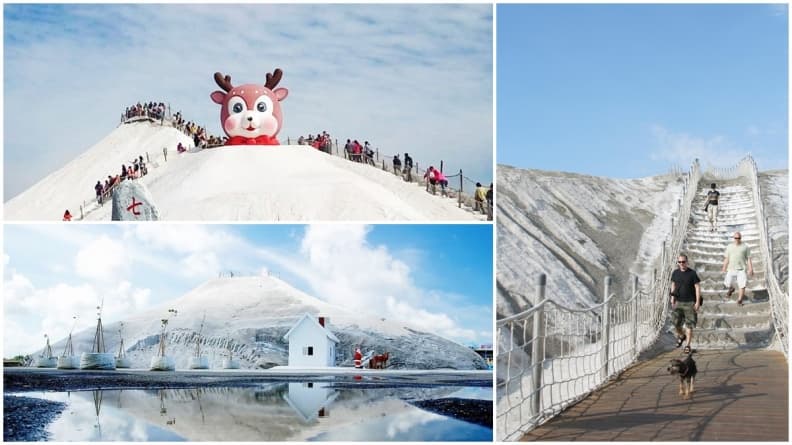 最萌新打卡點！6.3公尺「萌萌巨鹿」現身雪白鹽山