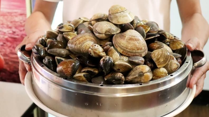 超狂的「海鮮擂台」！新莊鍋物店90秒任你夾！驚見「手掌大」牛奶貝