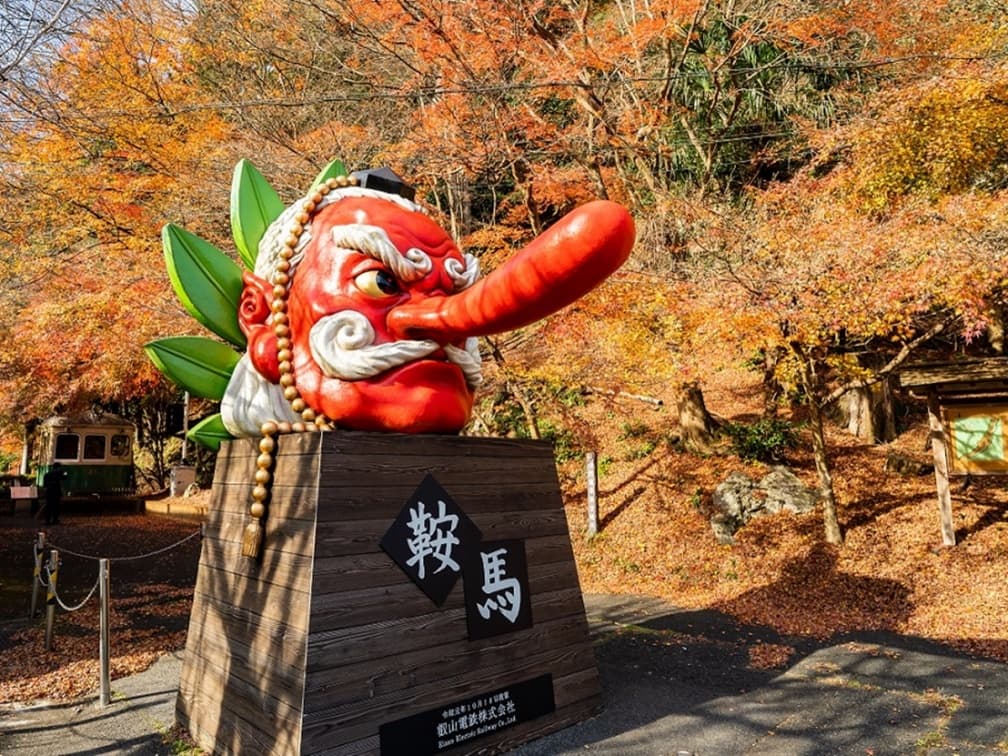 朝聖最新貓貓美術館！搭「京阪電車」玩遍２地夯點，拜完神社爽吃免費拉麵
