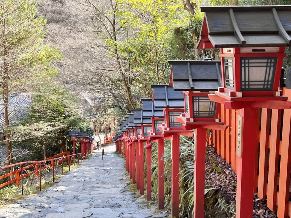 朝聖最新貓貓美術館！搭「京阪電車」玩遍２地夯點，拜完神社爽吃免費拉麵