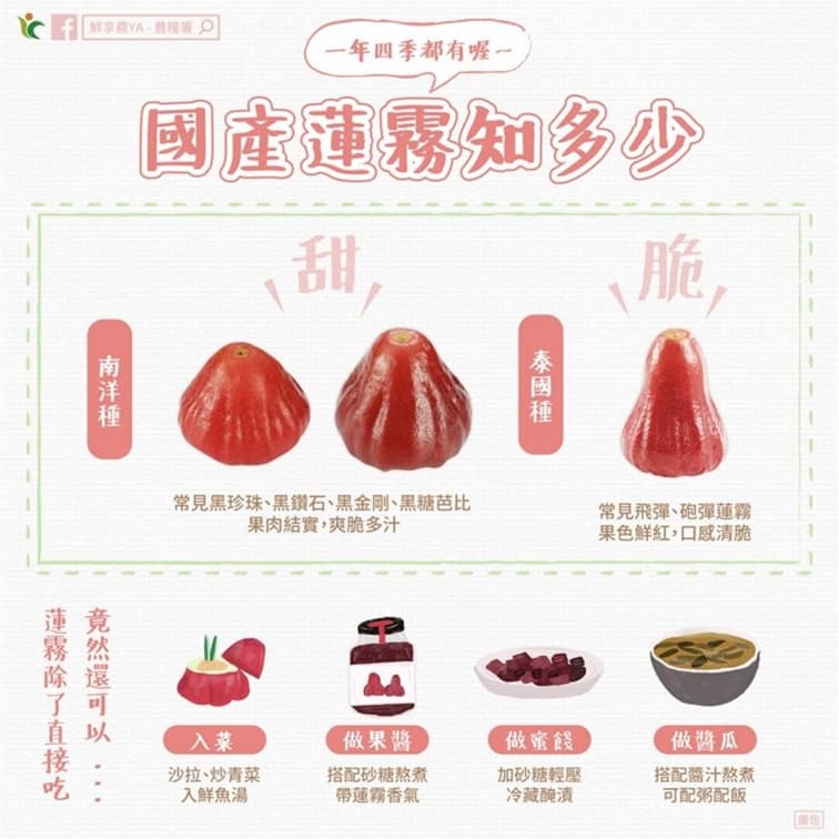 「蓮霧鑲肉湯」真有這道菜？老饕認證：名菜！超好吃，還能炒肉片