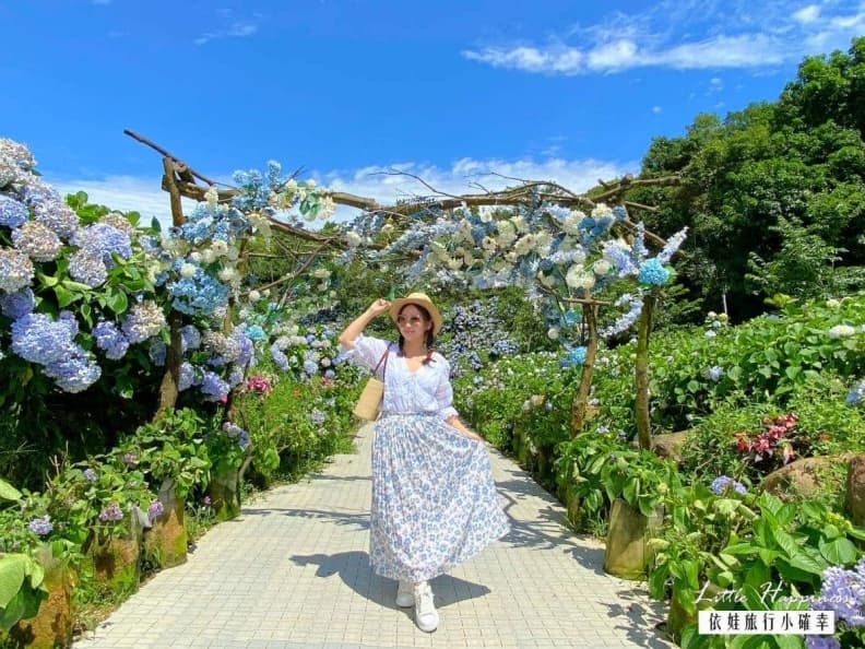 好拍到手痠！IG必追６大「繡球花夯點」：占地8000坪、萬株花海限時免費拍