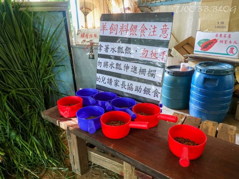 假日限定免費玩！台中隱藏版「親子牧場」CP值破表，20元餵小羊、小雞太佛心