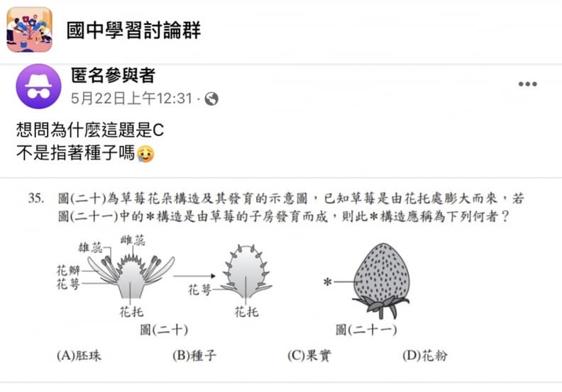 誤會大了!草莓表面「小芝麻」不是種子,正解曝光一票考生哀嚎 誤會大了!草莓表面「小芝麻」不是種子,正解曝光一票考生哀嚎
