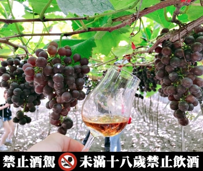 秉森酒莊