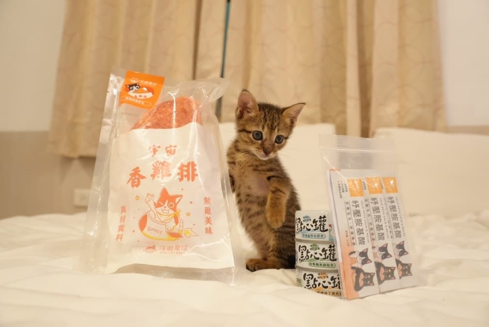 帶毛孩出遊免煩惱！入住全台４家旅宿爽拿三重好禮，貓砂盆、副食罐都有