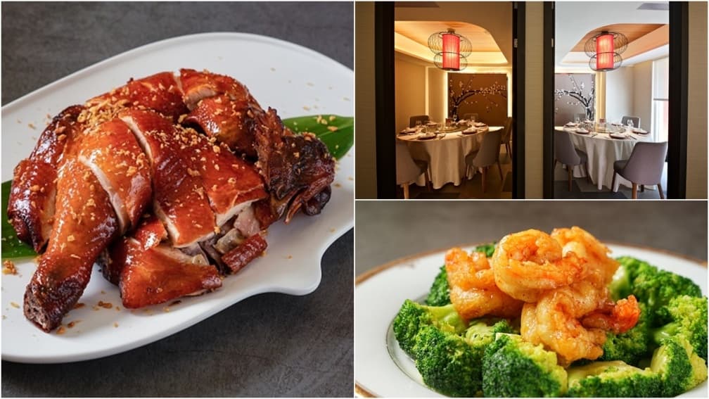 「神旺潮品集」落腳台北東區！老饕敲碗40道港點回歸，必吃潮州打冷、脆皮雞