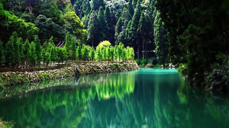 夏天出遊首選！網友最愛８大自然系避暑勝地，第１名賞磅礡瀑布、繡球花