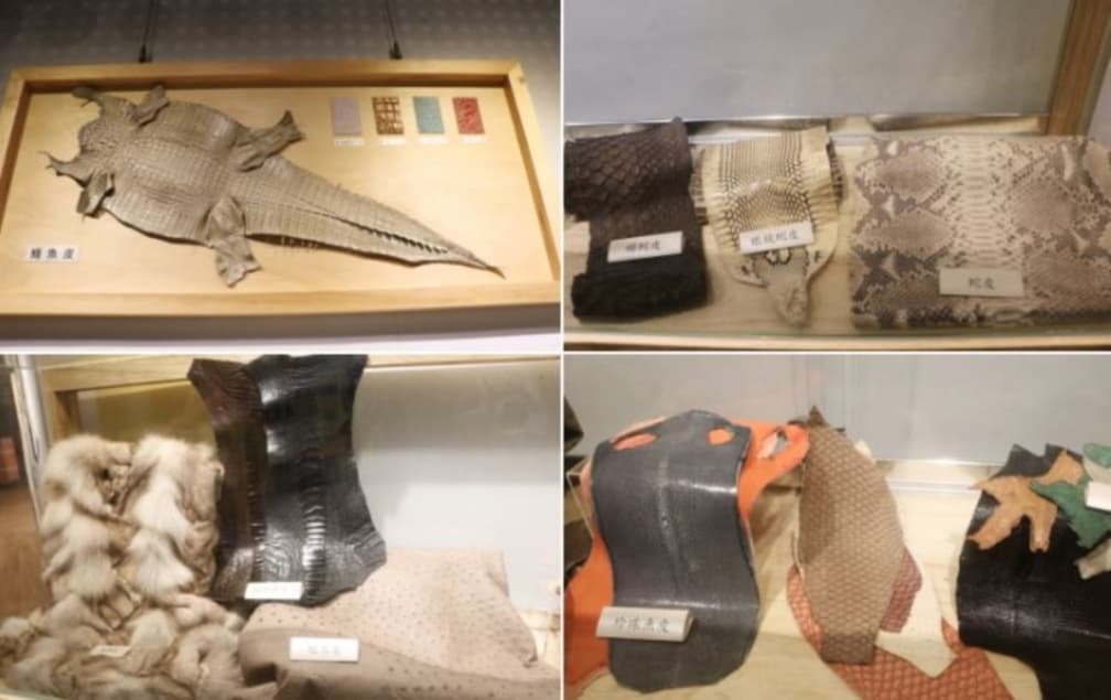 袋寶觀光工場展示各種動物皮革。（圖片來源：快樂的過每一天）
