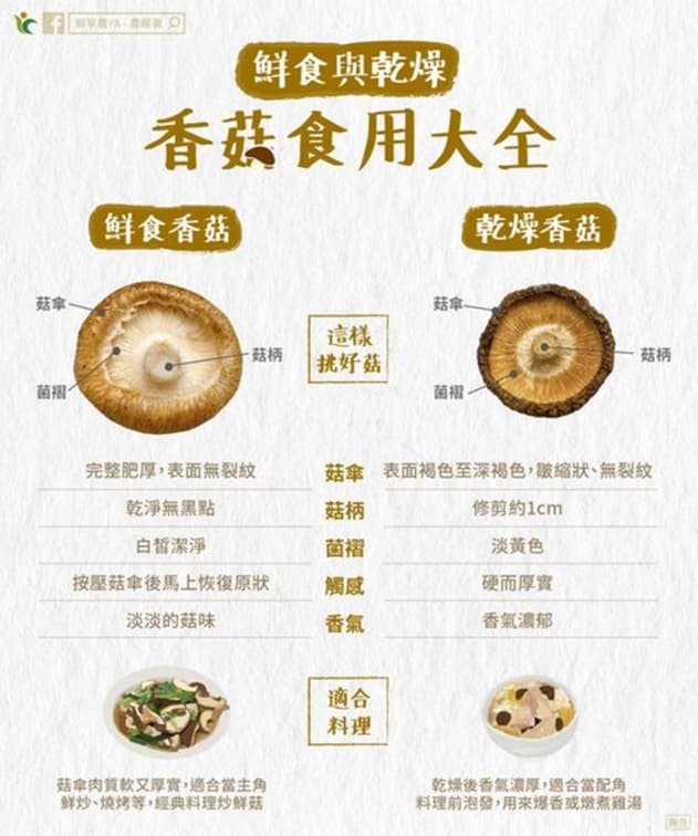 杏鮑菇、金針菇等菇類要洗嗎?農糧署揭正確處理方法,加碼5招挑選美味香菇 杏鮑菇、金針菇等菇類要洗嗎?農糧署揭正確處理方法,加碼5招挑選美味香菇