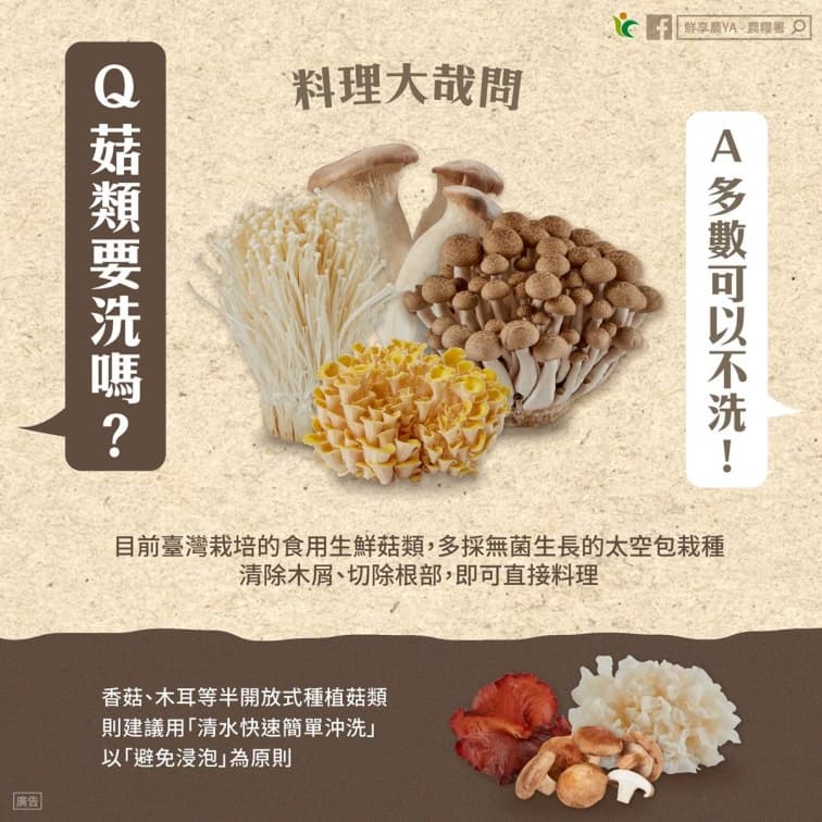 杏鮑菇、金針菇等菇類要洗嗎?農糧署揭正確處理方法,加碼5招挑選美味香菇 杏鮑菇、金針菇等菇類要洗嗎?農糧署揭正確處理方法,加碼5招挑選美味香菇