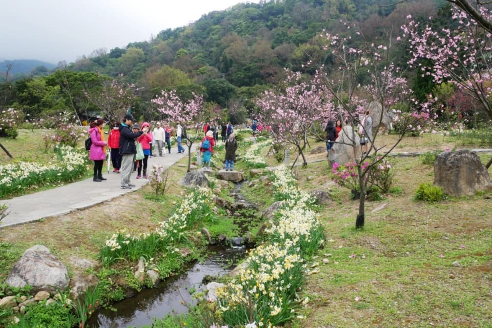 不少人會到陽明公園賞花。（圖片來源：shutterstock達志影像）