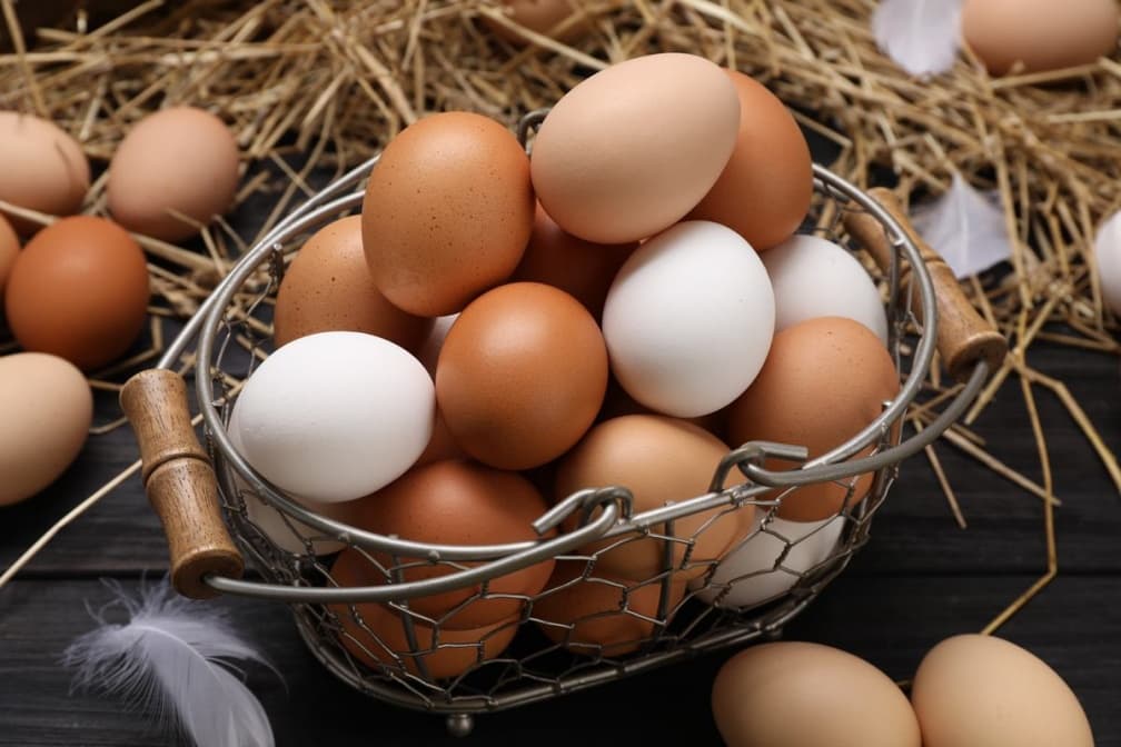 雞蛋要冰嗎?不能放冰箱門蛋架?北農揭正確保存法,加碼挑雞蛋4訣竅 雞蛋要冰嗎?不能放冰箱門蛋架?北農揭正確保存法,加碼挑雞蛋4訣竅