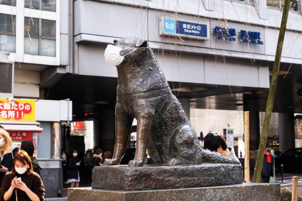不是新冠!日本正流行「1病」嚴重恐身亡,防疫辦法、確診症狀一次看 不是新冠!日本正流行「1病」嚴重恐身亡,防疫辦法、確診症狀一次看