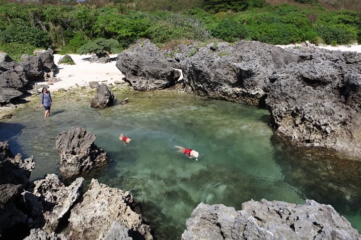 寵物旅遊：墾丁 與毛小孩秘境海灣戲水趣
