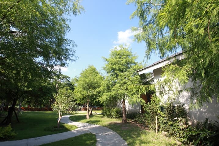 A0542953.jpg