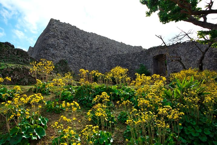走進迷宮瞧一瞧!沖繩世界遺產大有來頭 0241_007.jpg