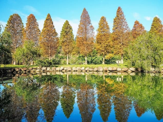 【圖說1】秋遊不遠求！台灣就能欣賞多變秋天之美.jpg