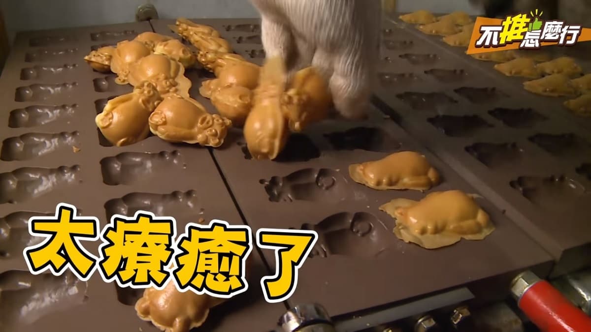 《不推怎麼行》這３大日式美食好吃又夢幻，讓少女不怕胖死！
