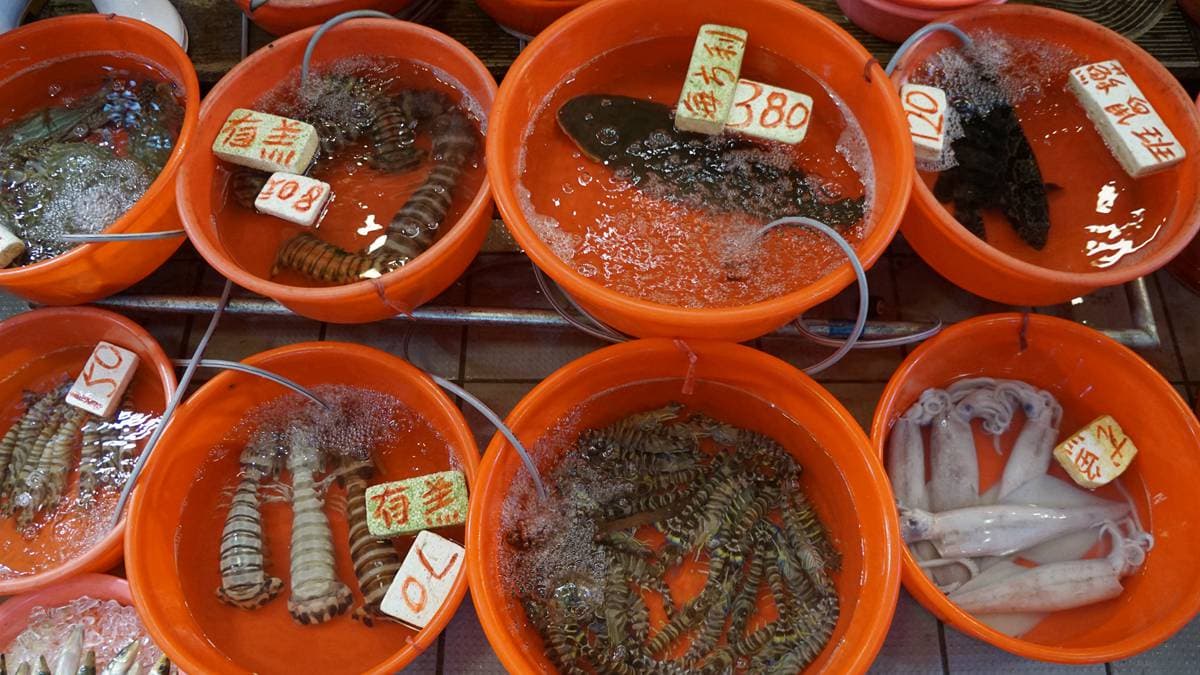 香港資深旅遊記者帶你玩 鴨脷洲找神出鬼沒艇仔粉 香港資深旅遊記者帶你玩 鴨脷洲找神出鬼沒艇仔粉
