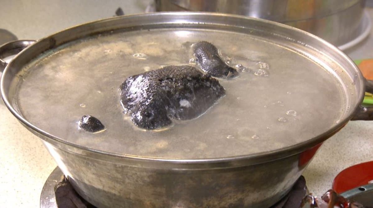 海鮮塔沙茶爐配「漢堡排」?台南人氣爆棚火鍋是這家 海鮮塔沙茶爐配「漢堡排」?台南人氣爆棚火鍋是這家
