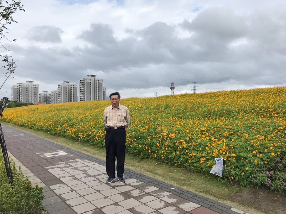 IG必打卡！一望無際花海山丘，隨便都像電影劇照！
