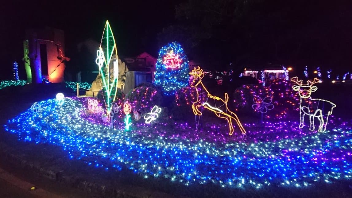 東北角新玩法 福隆看燈海迎曙光