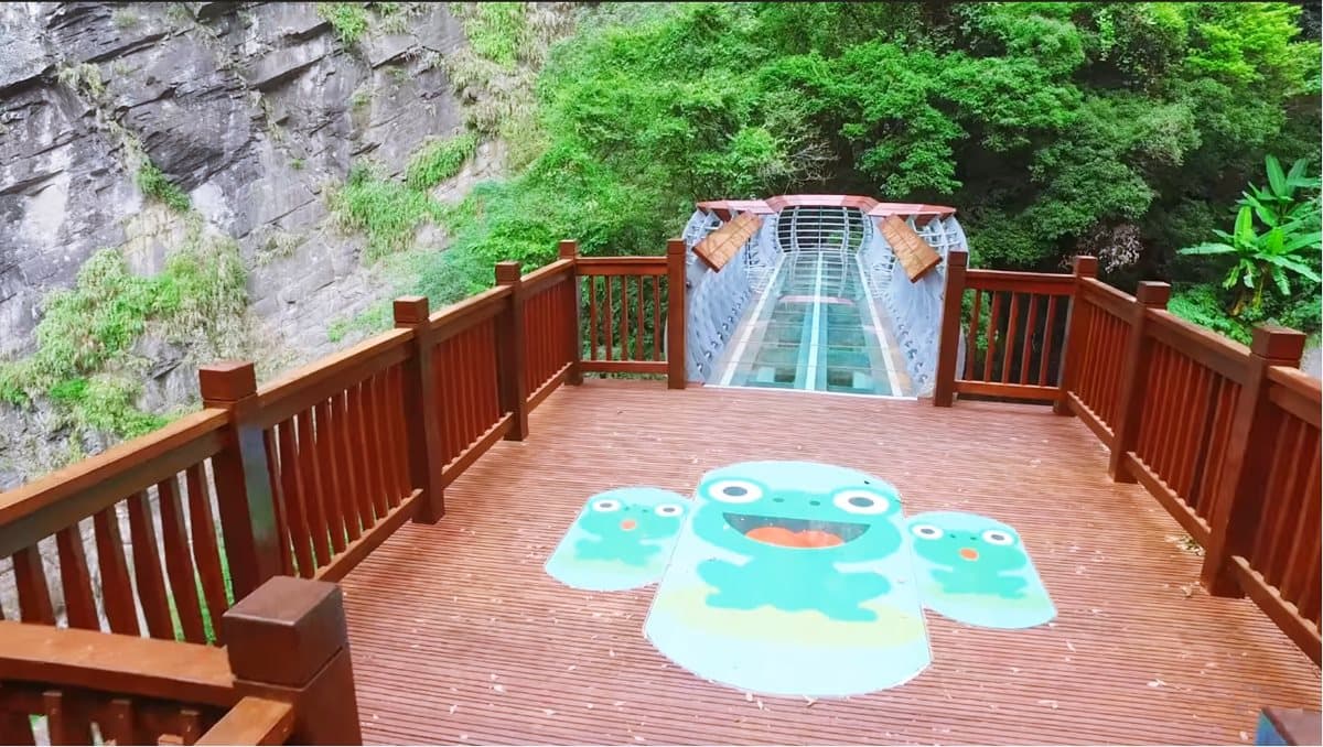 關注度飆升！全新蛙蛙天空步道來了