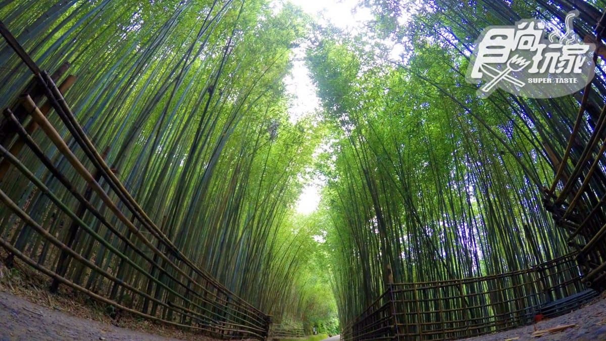 【春節醬玩】全台10大美拍祕境:台版嵐山、龍貓森林、藍眼淚湧泉超夢幻 【春節醬玩】全台10大美拍祕境:台版嵐山、龍貓森林、藍眼淚湧泉超夢幻