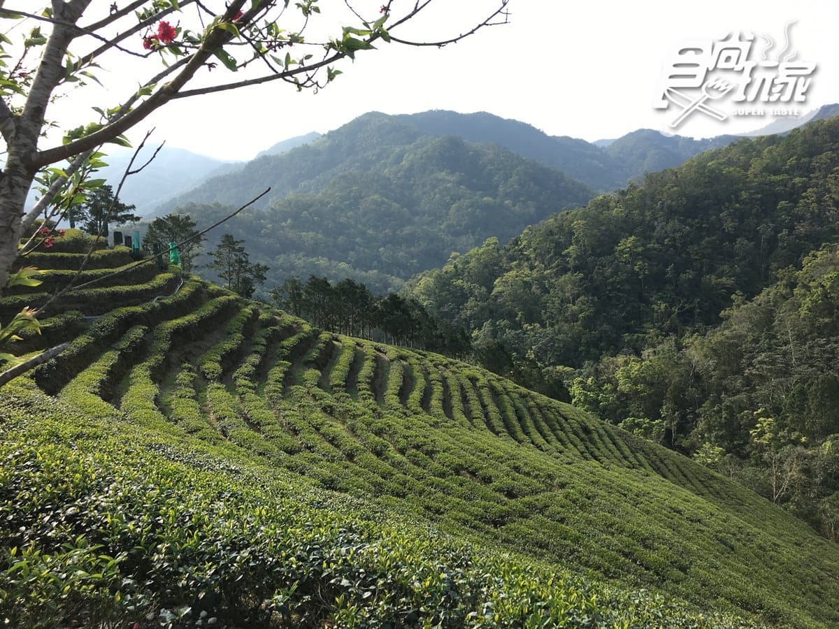 【春節醬玩】全台10大美拍祕境:台版嵐山、龍貓森林、藍眼淚湧泉超夢幻 【春節醬玩】全台10大美拍祕境:台版嵐山、龍貓森林、藍眼淚湧泉超夢幻