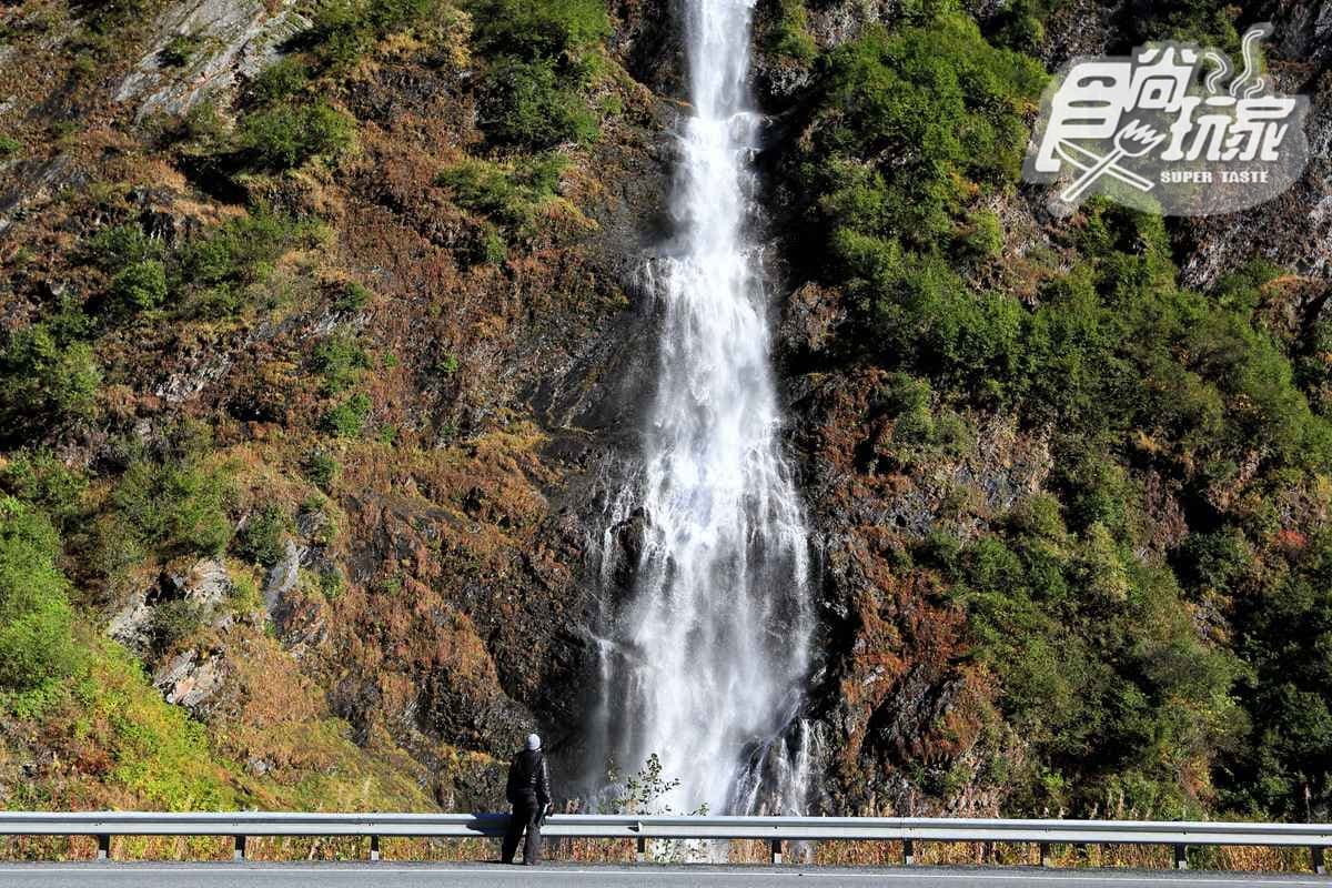 美國阿拉斯加千里長征  冰雪、極光的曠野之旅
