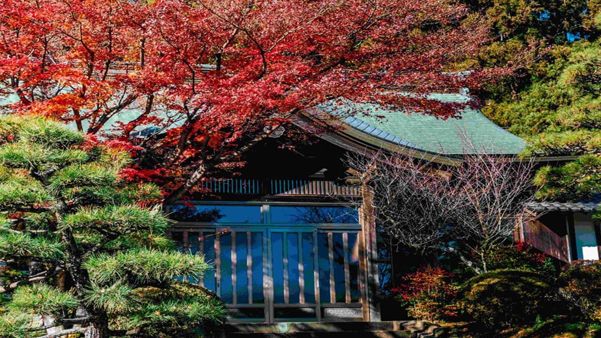 春節日本玩這裡！跨越時空訪「日本遺產」伊達政宗景點