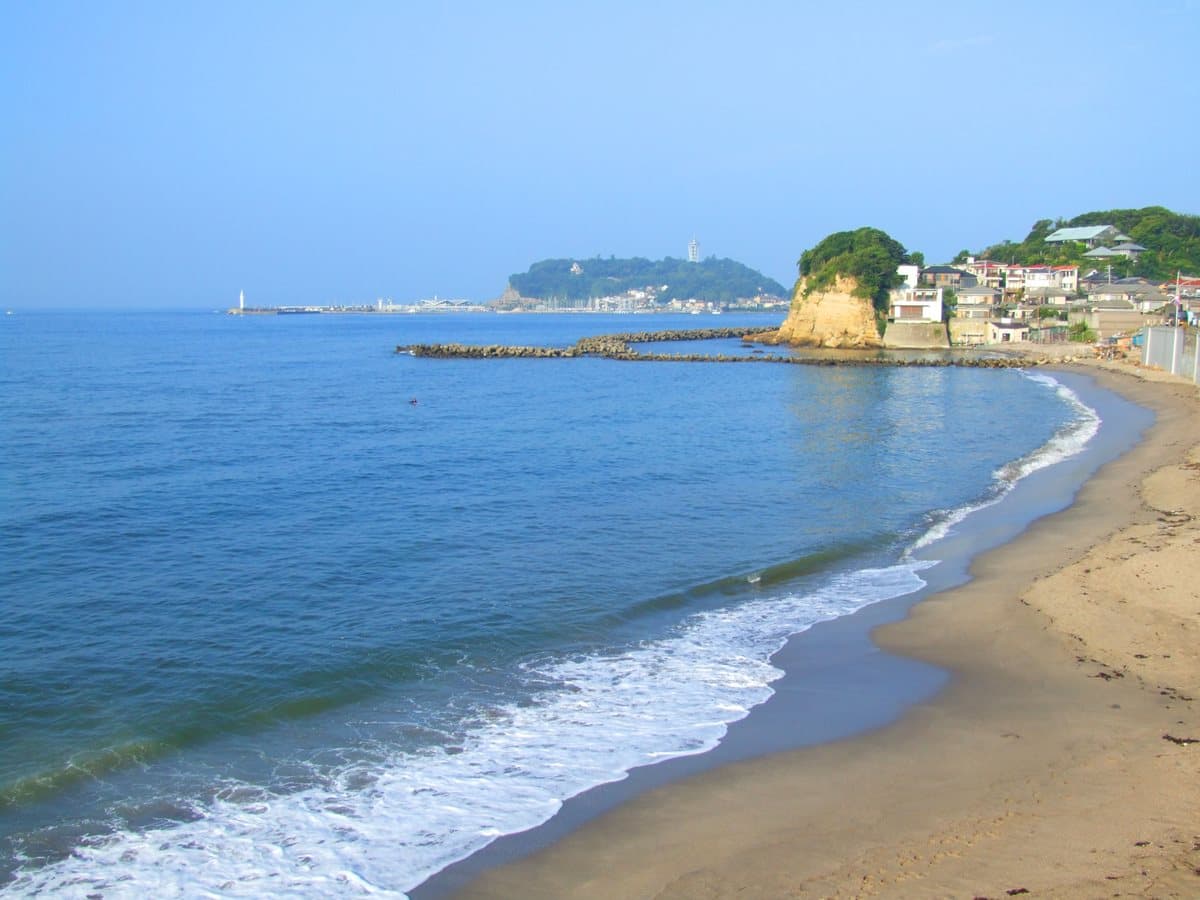 3種CP值爆高日本周遊券！30間鮪魚店、海景溫泉任選