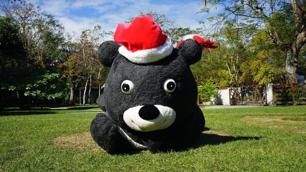 萌翻全台！敲口愛熊讚草坪成人氣打卡點