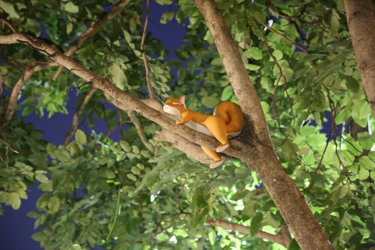 打卡新景點！沉睡動物陪你在公園打嗑睡