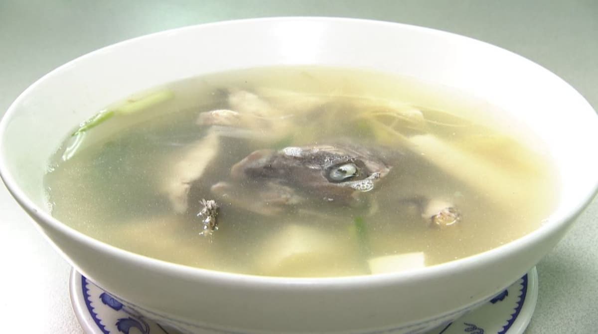 有青才敢大聲 野生漁獲入鍋啦！