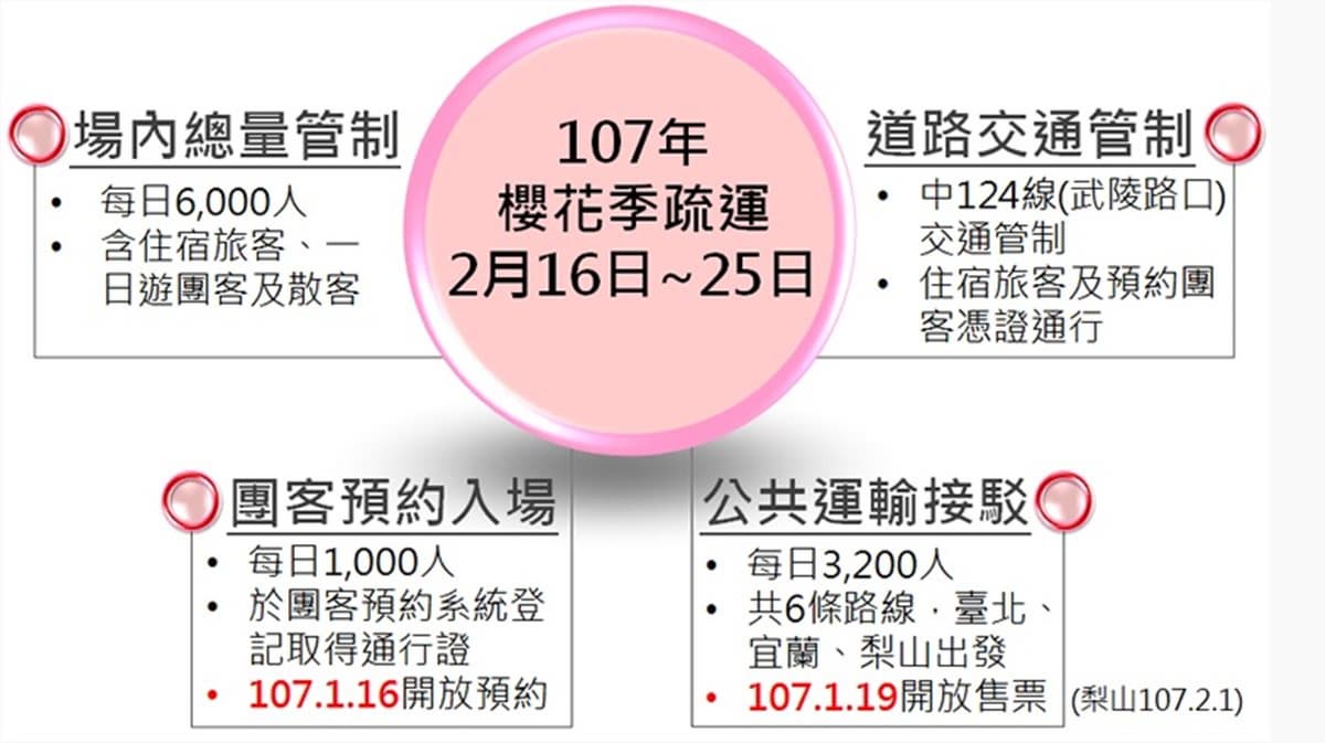 武陵農場櫻花季登場！1月19日賞櫻專車開始搶票