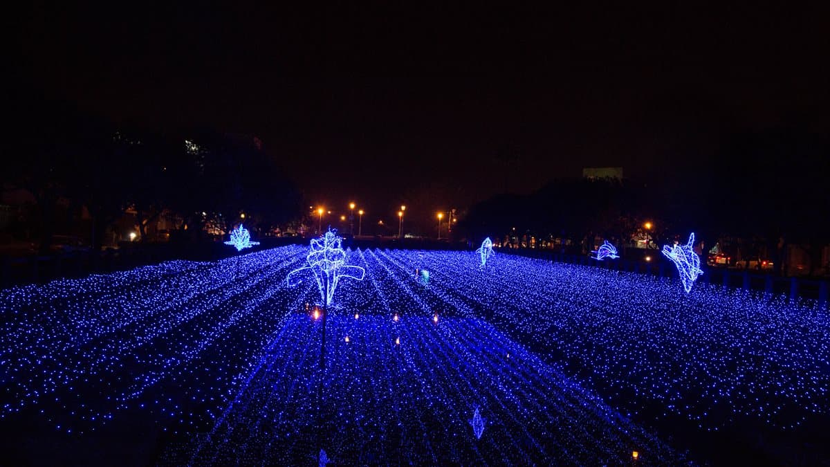屏東綵燈節登場!20組燈飾美翻天 屏東綵燈節登場!20組燈飾美翻天