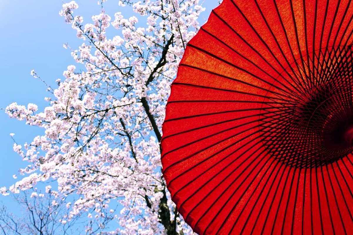 2018日本賞櫻攻略！8景點全部免費玩到5月