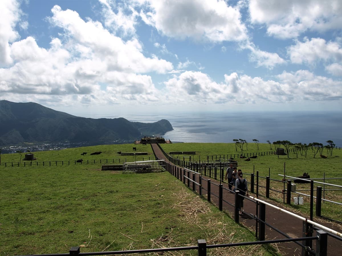 你不知道的東京！在八丈島、三宅島遇見南國的海與祕境奇景
