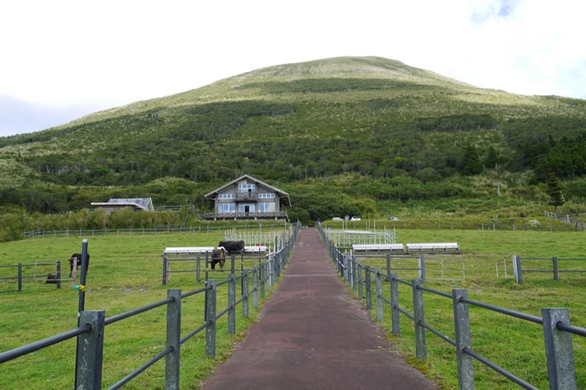 你不知道的東京！在八丈島、三宅島遇見南國的海與祕境奇景