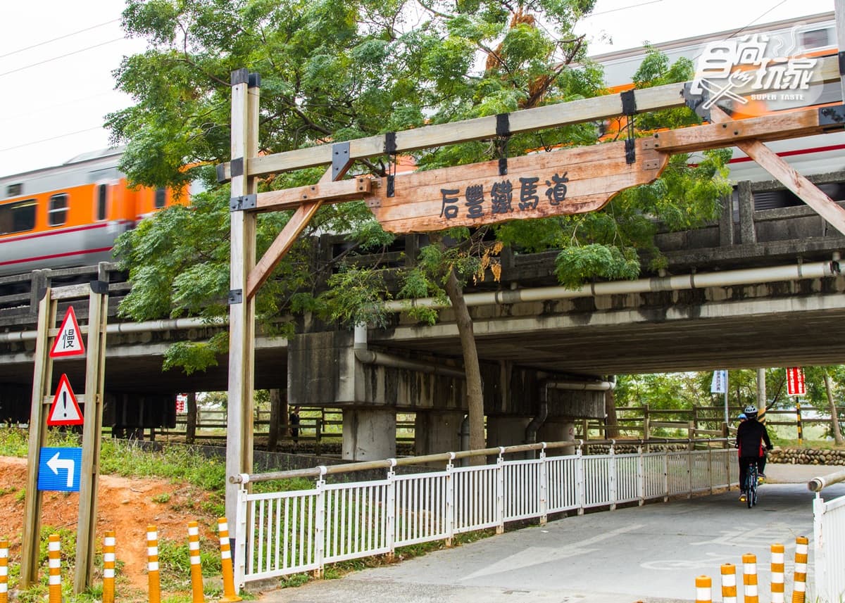 春節放風去!北中南6條自行車步道:台版「沖繩跨海大橋」、綠色森林隧道 【春節醬玩】全台6大最美自行車道小旅行,北海岸這條是全新開放